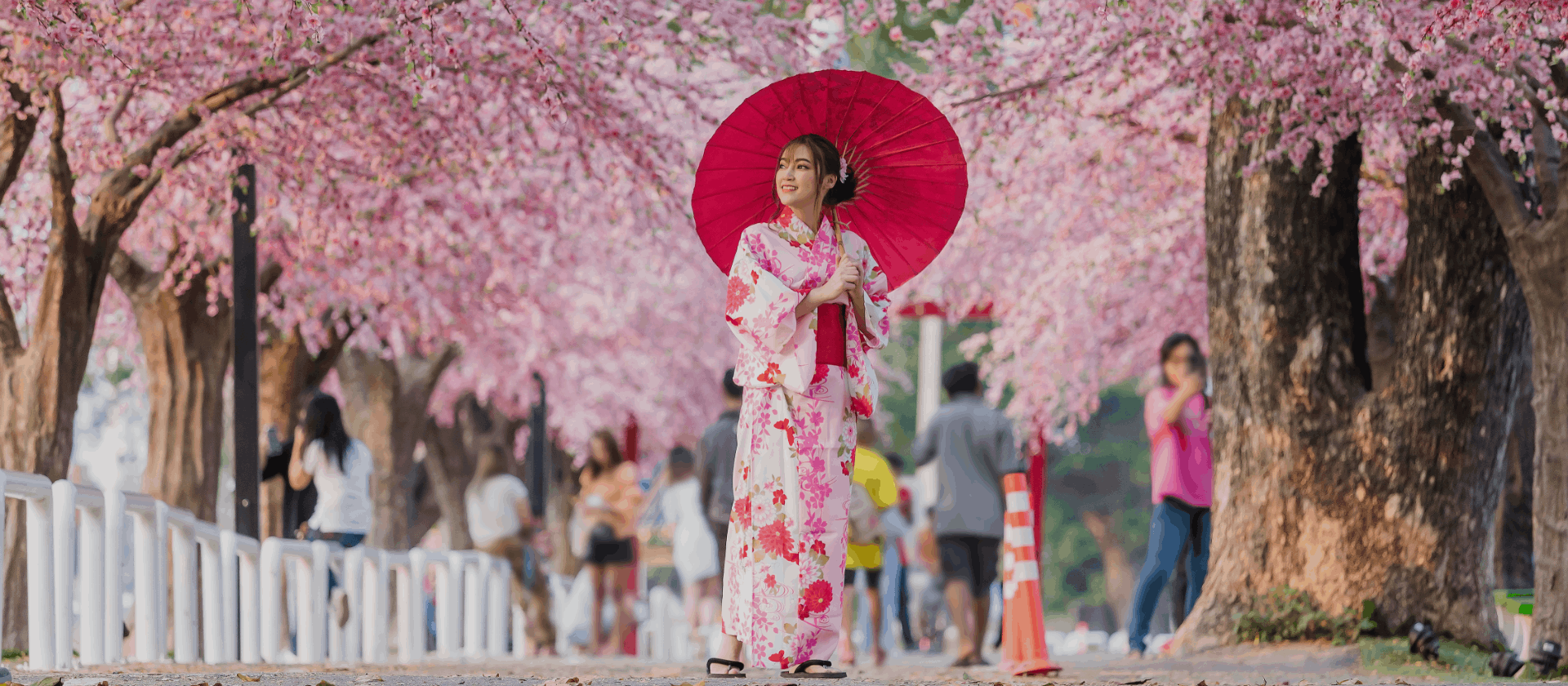 Cherry Blossom Festival